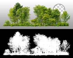 Cutout tree line.
Row of green trees and shrubs in summer isolated on transparent background via an alpha channel. Forestscape. High quality clipping mask. Forest and green foliage.