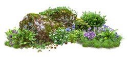 Cutout rock surrounded by flowers.
Garden design isolated on white background. Flowering shrub and green plants for landscaping. Decorative shrub and flower bed. High quality clipping path.