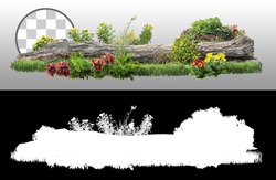 Dead tree fallen and lying on the ground.
Cutout tree trunk surrounded by flowers.
Garden design isolated on transparent background. Flowering shrub and green plants for landscaping. Flowerbed.
