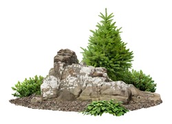 Cutout rock surrounded by fir trees. Garden design isolated on white background. Decorative shrub for landscaping. High quality clipping mask for professionnal composition or 3D rendering.