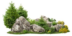 Cutout rock surrounded by fir trees and flowers. Garden design isolated on white background. Decorative shrub for landscaping. High quality clipping mask for professionnal composition