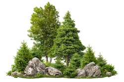 Cutout rock surrounded by fir trees. Garden design isolated on white background. Decorative shrub for landscaping. High quality clipping mask for professionnal composition. Stones in the forest.
