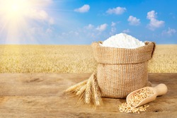 Ears of wheat and flour in bag on table on field background. Photo with copy space area for a text
