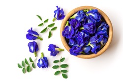 Close up fresh butterfly pea flower or blue pea, bluebellvine ,cordofan pea, clitoria ternatea with green leaf in wooden bowl isolated on white background. Top view. Flat lay.