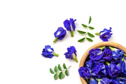 Close up fresh butterfly pea flower or blue pea, bluebellvine , cordofan pea, clitoria ternatea with green leaf in wooden bowl isolated on white background. Top view. Flat lay.