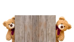 Two brown cute teddy bears sneaked behind the old wooden door isolated on white background. Copy space for text and content.