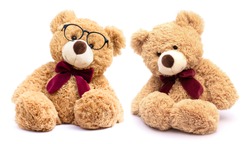 Two brown teddy bear with eye glasses isolated on white background.