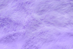 Purple fur texture top view. Lilac fluffy fabric coat background. Winter fashion violet color trend feminine flat lay, female blog backdrop text signs desidgn. Girly abstract wallpaper textile surface
