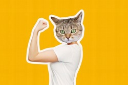 Strong woman headed by cat head raises arm and shows bicep isolated on a color yellow background. Support animal rights, activism. Trendy collage in magazine style. Contemporary art. Modern design