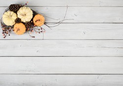 Faded Vintage Shabby Chic Still Life with Cream White and Orange Mini Pumpkins on Light Gray, Rustic board slats Background and room or space for copy, text, your words.  Horizontal aerial top view  