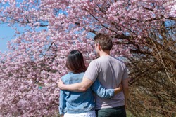 Romantic couple asian woman and German man hugging on beautiful park full of cherry blossom flower background.spring to summer season