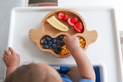 Top view Baby self-feeding with hand BLW or baby led weaning. Finger food plate of mix fruit strawberry, banana, blueberry and corn. Kid healthy nutrition eating on high chair fine motor development.