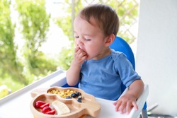 Cute boy eating fruit by himself on high chair baby led weaning or blw. Mixed race Asian-German infant self-feeding solid food fine motor development.