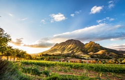 Wine region near Stellenbosch looking at Simonsberg in South Africa