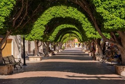 Beautiful pedestrian-only main street surrounded by lush, vibrant manicured trees in Loreto, Mexico
