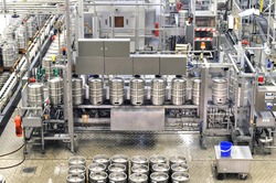beer barrels in the filling process in a brewery - beer production in the modern food industry