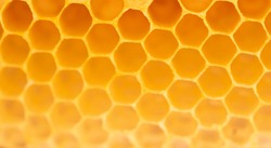 Abstract of Honeycomb texture and background,Selected focus