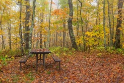 Autumn background of yellow foliage and orange fallen leaves with an empty picnic area depicting the end of another recreational season along the Blue Ridge Parkway in North Carolina.