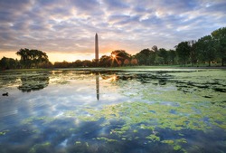 The pond at Constitution Gardens, covered with duckseed, at sunrise with cloud filled sky reflecting in the water and the Washington Monument in the background in autumn in Washington, DC.