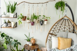 Six handmade cotton macrame plant hangers are hanging from a wood branch. The macrame have pots and plants inside them. There are decorations and shelves on the side with an egg chair and a table.