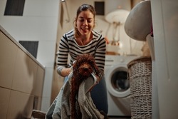 Woman taking care of her pet, drying little dog after bath shower in bathroom, using towel. Grooming concept