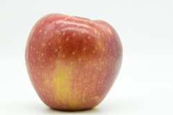 Large Beautiful Cosmic Crisp Apple  Against Bright White Background 