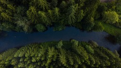 River cutting through dense forest