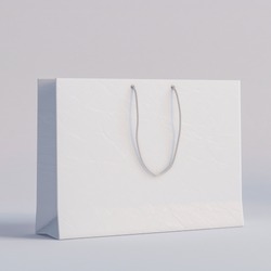 Luxury white paper bag on a white background.