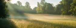 Magic summer morning, and morning mist over the field
