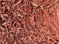 Wood chips background, pile of wood woodchips, woodworking waste. Eco playground. Decorative mulch, mulching, bark with an alement of the flower bed. Wood chips.