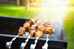 Shish kebab is fried on grill and outdoors in the park close-up