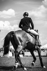 Black and white Equestrian Sports photo-themed: Horse jumping, Show Jumping, Horse riding.