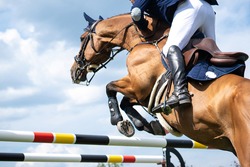 Equestrian Sports photo-themed: Horse jumping, Show Jumping, Horse riding.
