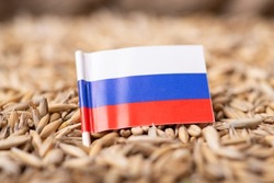 Flag of Russian Federation on oat grain. Concept of growing oats in Russia