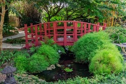 Miami, Florida - September 8,2022: Miami Beach Botanical Garden: Japanese Garden with little bridge and the pond