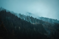 Abstract Mountain layers on a rainy cold moody mountain day. Misty and foggy winter vibes in the nature. Silhouette of mountain and pine trees. Harz National Park, Harz Mountains in Germany