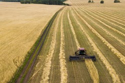 Agricultural landscape. The harvest of grain. The edge of the field. The Reaper mows the wheat. The view from the top. Shooting from a drone.