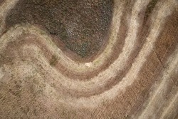 Aerial view of a wheat field with paths of mown ears and stubble encircling a plot unsuitable for agriculture. Shooting from a drone.