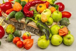 Trendy ugly vegetables and fruits. Assortment of fresh pepper, beans, cucumber, tomato, pumpkin, apples. Cooking organic ugly food concept. Stone concrete background, place for text