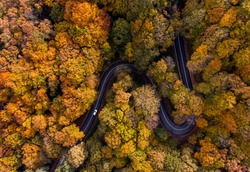 Aerial view of curvy road in beautiful autumn forest. Top view of roadway with autumn colors. Road on Fruska gora mountain in Serbia,Vojvodina