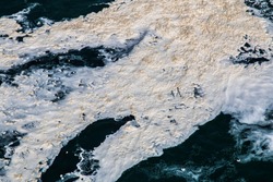 White foam on dark water - 
a gull flying over the foam - Canada - Niagarafalls