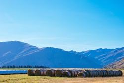 Farming, Southland, New Zealand