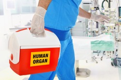 Doctor brings organ donation for organ transplantation in op of hospital