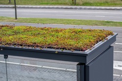 Public transport bus stop with green roof to clean air and attract bees, bird's eye view
