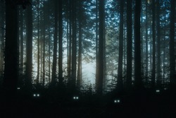 A creepy, fantasy forest of pine trees, back lighted with spooky, glowing eyes of creatures in the undergrowth.