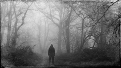 A mysterious figure back to camera,  looking down a path in a spooky forest. On a winters day. With a grunge, textured edit.  