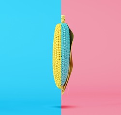 Contrast color Corn on blue half pink background. minimal food concept.