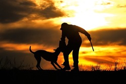Protective section with a dog, a dog attacks a helper against a sunset background	
