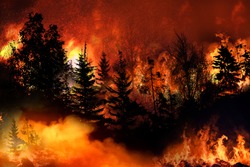 Oak fire, California  wildfire, Heatwave in Europe causes forest burning rapidly and destroyed, silhouette, natural calamity, 