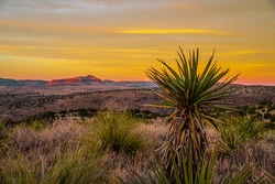 Sunset over high desert mountains in Far West Texas with desert foliage in the foreground.